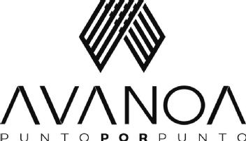 Imagen de AVANOA PUNTO POR PUNTO