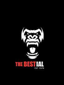 Imagen de THE BESTIAL CAR CARE