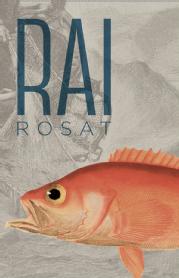 Imagen de RAI ROSAT