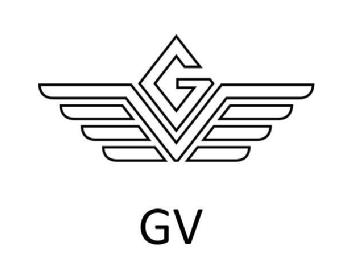 Imagen de GV