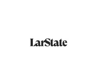 Imagen de LarState
