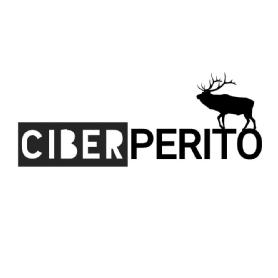 Imagen de Ciberperito