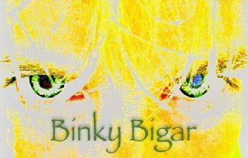 Imagen de BINKY BIGAR
