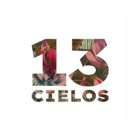 Imagen de 13 CIELOS