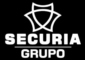 Imagen de securia grupo