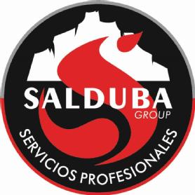Imagen de SALDUBA GROUP, SERVICIOS PROFESIONALES, ( letras y montaña en blanco,S en rojo, sobre fondo negro y circulo exterior mitad inferior rojo ymitad superior gris)