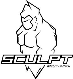 Imagen de sculpt your life