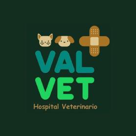 Imagen de VALVET HOSPITAL VETERINARIO