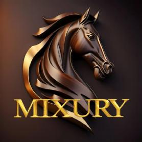 Imagen de MIXURY