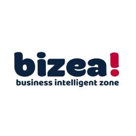 Imagen de bizea! business intelligent zone