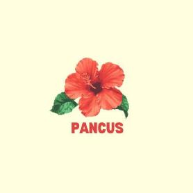 Imagen de PANCUS