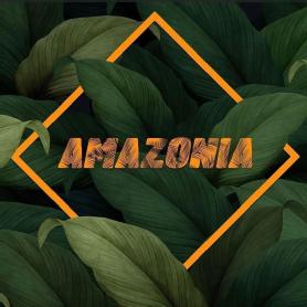 Imagen de HOJAS VERDES CON UN ROMBO Y LETRAS NARANJAS