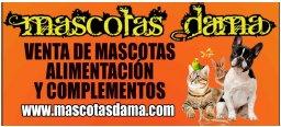 Imagen de MASCOTAS DAMA