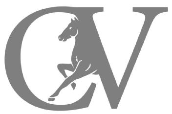 Imagen de CV