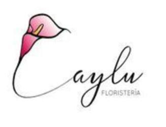 Imagen de CAYLU FLORISTERÍA
