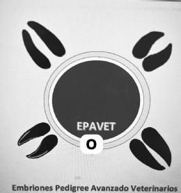 Imagen de EPAVET EMBRIONES PEDIGREE AVANZADO VETERINARIOS