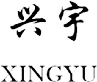 Imagen de XINGYU