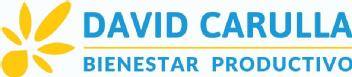 Imagen de DAVID CARULLA BIENESTAR PRODUCTIVO
