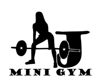 Imagen de AJ MINI GYM