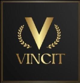 Imagen de VINCIT