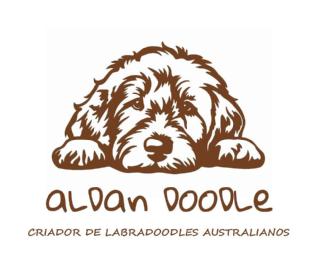Imagen de ALDAN DOODLE CRIADOR DE LABRADOODLES AUSTRALIANOS