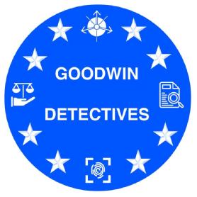 Imagen de GOODWIN DETECTIVES
