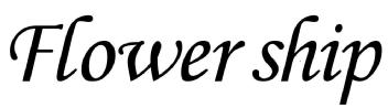 Imagen de Flower ship
