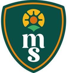 Imagen de MS