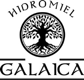 Imagen de Hidromiel Galaica