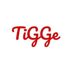 Imagen de TIGGE