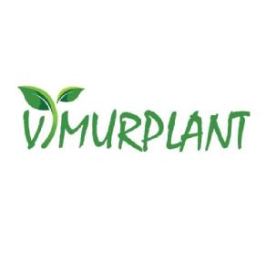 Imagen de Vimurplant