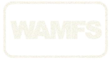 Imagen de WAMFS