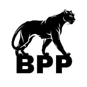 Imagen de BLACK PANTHER PROPERTIES