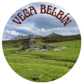 Imagen de VEGA BELBÍN