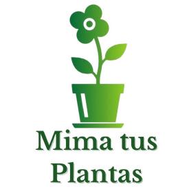 Imagen de Texto 