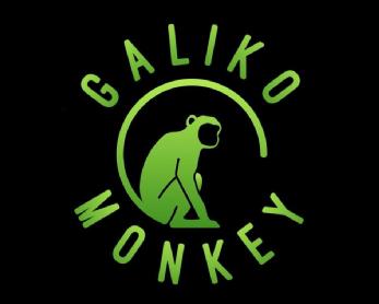 Imagen de Galiko Monkey
