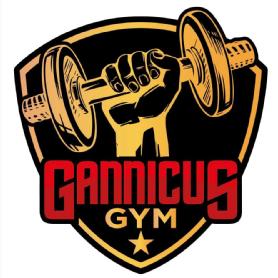 Imagen de GANNICUS GYM