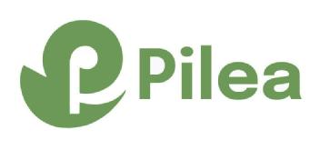 Imagen de PILEA