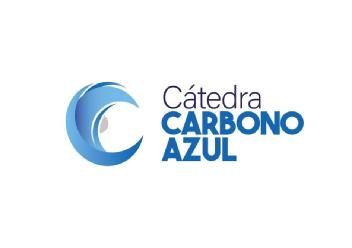 Imagen de C Cátedra CARBONO AZUL