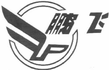 Imagen de PENG FEI.