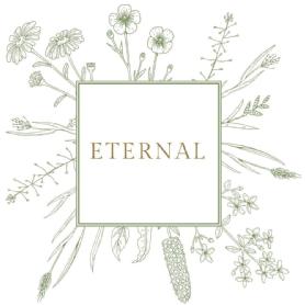 Imagen de ETERNAL