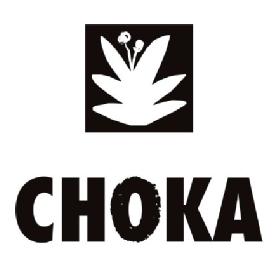 Imagen de CHOKA ESCALADA ARTE ENCUENTRO