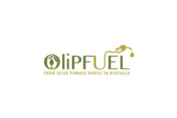 Imagen de OLIPFUEL