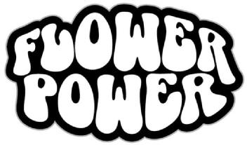 Imagen de FLOWER POWER