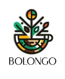 Imagen de BOLONGO