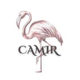 Imagen de CAMIR