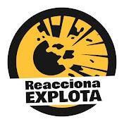 Imagen de REACCIONA EXPLOTA