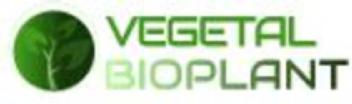 Imagen de VEGETAL BIOPLANT