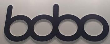 Imagen de bobo