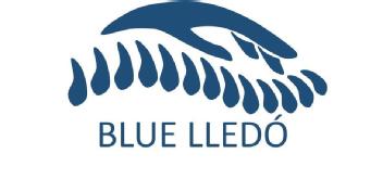Imagen de BLUE LLEDÓ